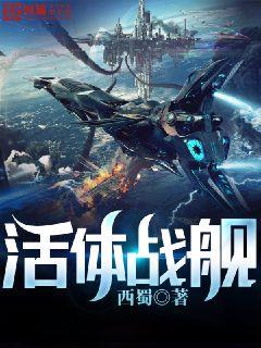 二十七载