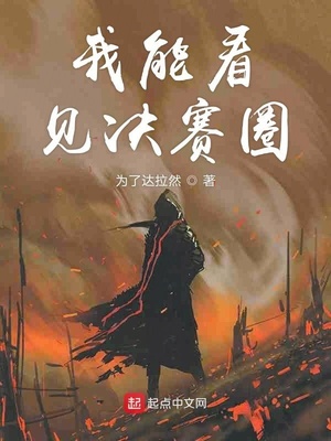 观鹤笔记